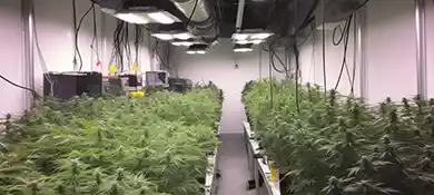 pc-altaqua-grow-room-hvac-blog-New-HVAC-with-Humidity-Control