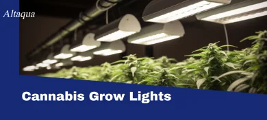 pc-altaqua-grow-room-hvac-blog-cannabis-grow-lights.