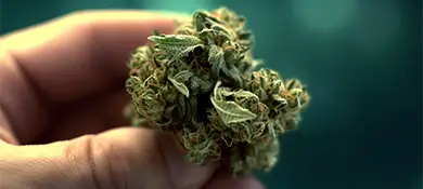 pc-altaqua-grow-room-hvac-blog-dry-weed
