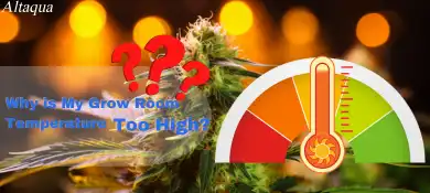 pc-altaqua-grow-room-hvac-blog-grow-room-temperature-too-high-Why-is-My-Grow-Room-Temperature-Too-High-1
