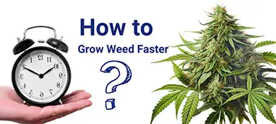 pc-altaqua-grow-room-hvac-blog-grow-weed-faster