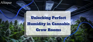 pc-altaqua grow room hvac blog-humidity in cannabis grow room