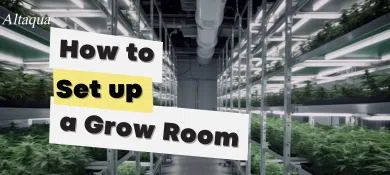 pc-altaqua-grow-room-hvac-blog-setting-up-grow-room