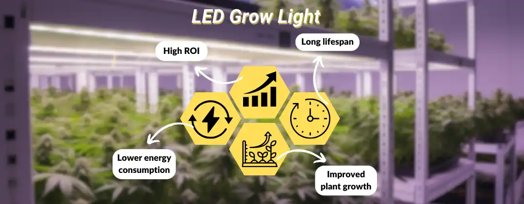 pc-altaqua grow room lights-LED Grow Light