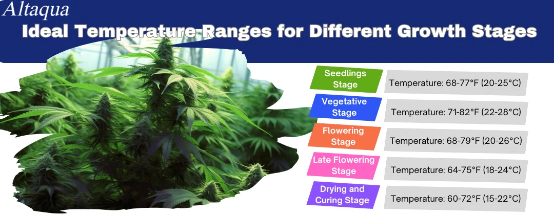 pc-altaqua-grow-weed-temperature-Ideal-Temperature-Ranges-for-Different-Growth-Stages.