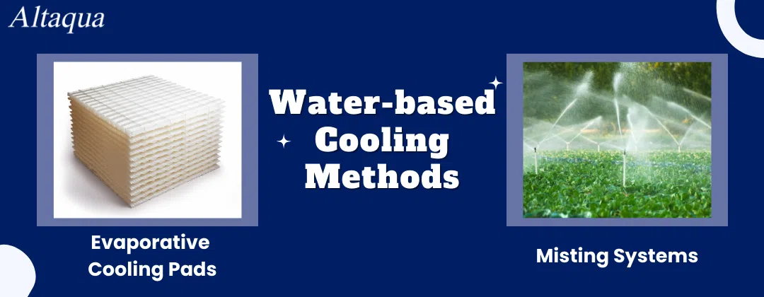 pc-altaqua-how-to-cool-down-greenhouse-Water-based-Cooling-Methods