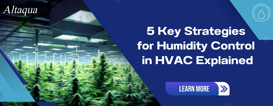 pc-altaqua-humidity-control-in-HVAC-5-Key-Strategies-for-Humidity-Control-in-HVAC-Explained