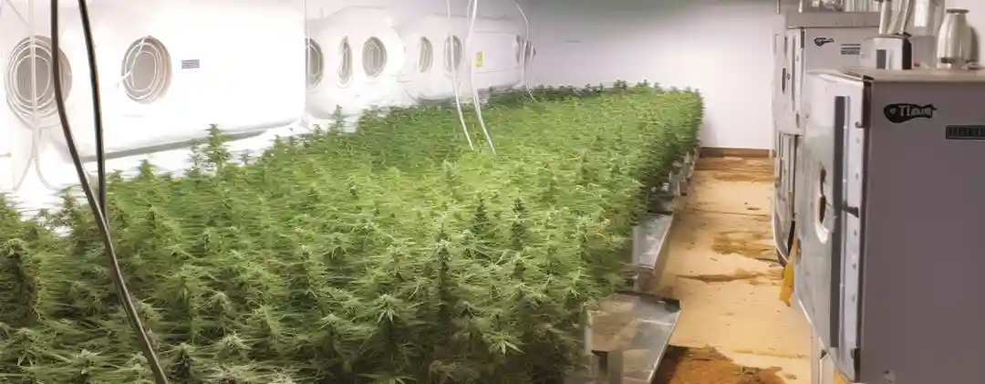 pc altaqua humidity control in hvac Mastering Humidity Control in HVAC Systems for Optimal Indoor Cannabis Growth