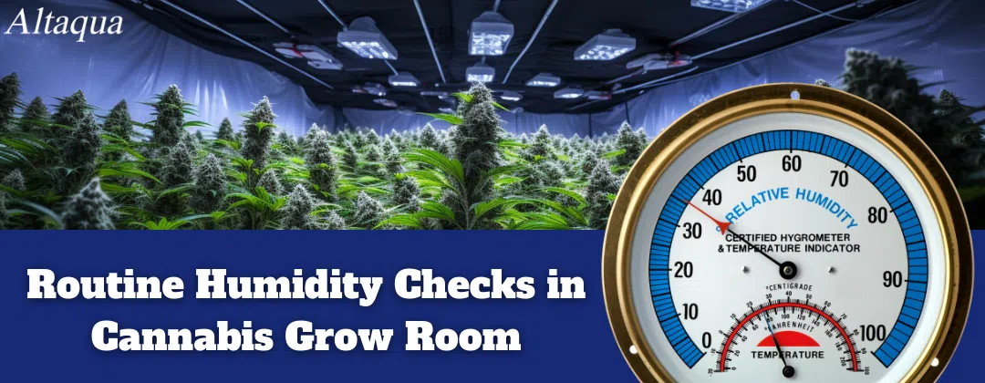 pc-altaqua humidity in cannabis grow room-Routine Humidity Checks in Cannabis Grow Room