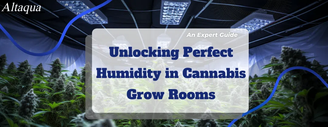 pc-altaqua humidity in cannabis grow room-Unlocking Perfect Humidity in Cannabis Grow Rooms_ An Expert Guide