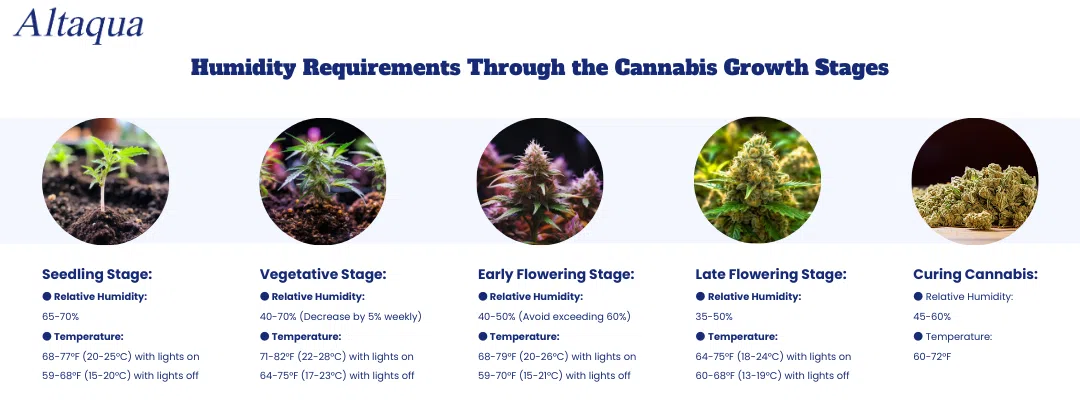 pc-altaqua-humidity-in-greenhouse-Humidity-Requirements-Through-the-Cannabis-Growth-Stages