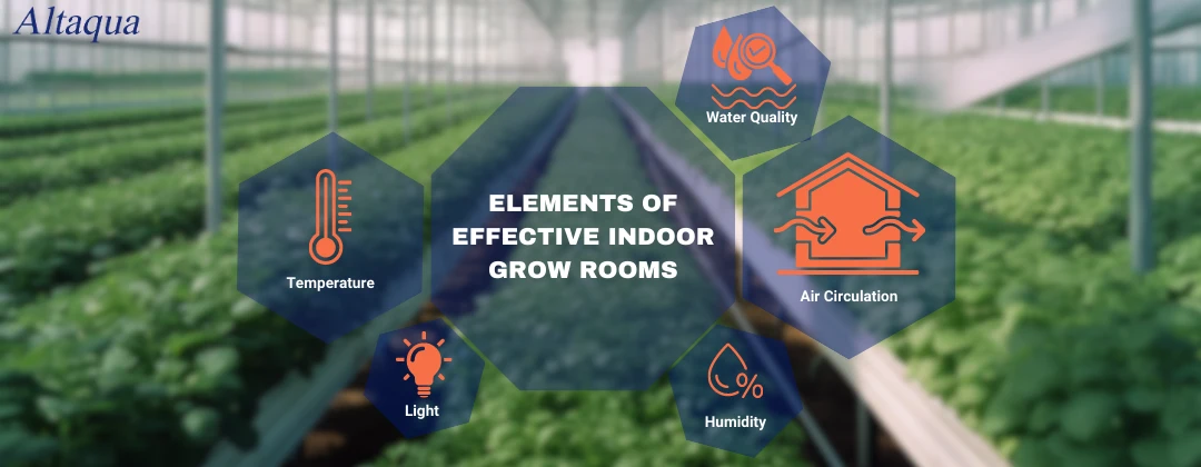 pc-altaqua-indoor-grow-room-Elements-of-Effective-Indoor-Grow-Rooms