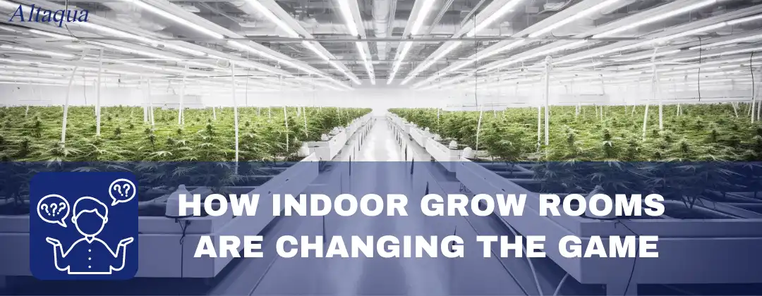 pc-altaqua-indoor-grow-room-How-Indoor-Grow-Rooms-Are-Changing-the-Game.