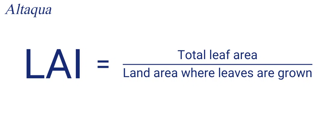 pc-altaqua-leaf-area-index-Leaf-Area-Index-Formula-1.