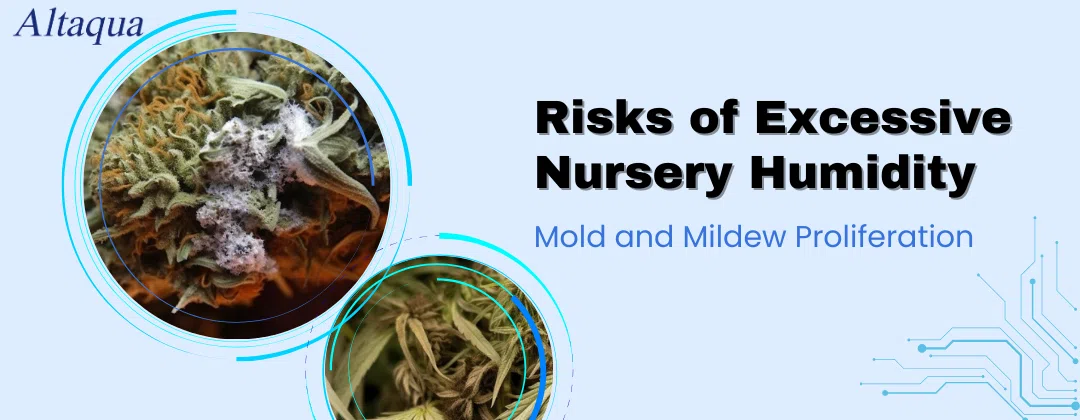 pc-altaqua-nursery-humidity-Risks-of-Excessive-Nursery-Humidity