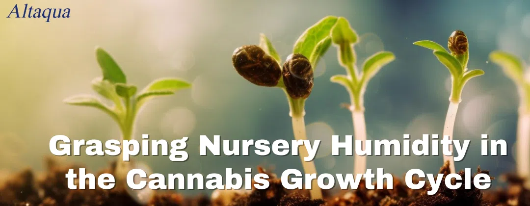 pc-altaqua-nursery-humidity-Understanding-the-Cannabis-Nursery.